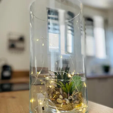 - Au Calme - Stationnement Facile - Proche Centre Et Gare Ле-Ман