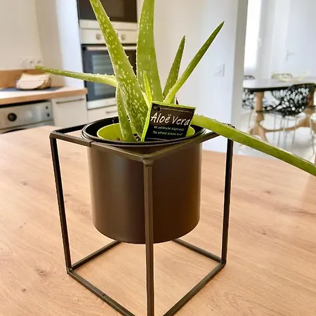 Appartement - Au Calme - Stationnement Facile - Proche Centre Et Gare