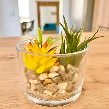 Апартаменты - Au Calme - Stationnement Facile - Proche Centre Et Gare Ле-Ман