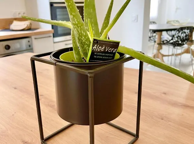 Apartamento - Au Calme - Stationnement Facile - Proche Centre Et Gare