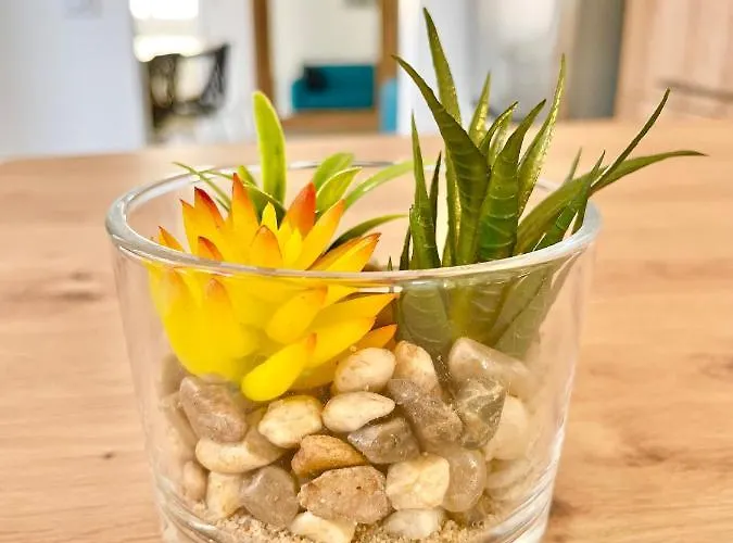 Apartament - Au Calme - Stationnement Facile - Proche Centre Et Gare Le Mans